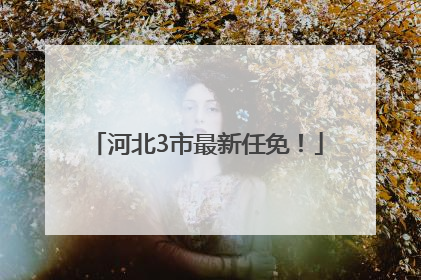 河北3市最新任免！