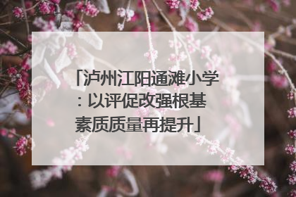 泸州江阳通滩小学：以评促改强根基 素质质量再提升