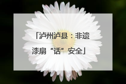 泸州泸县：非遗漆扇“话”安全