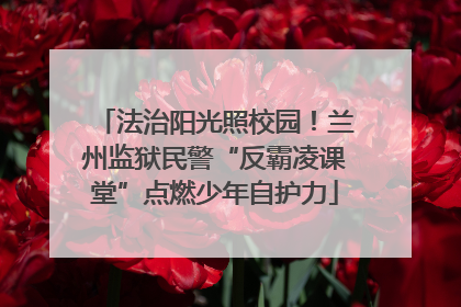 法治阳光照校园！兰州监狱民警“反霸凌课堂”点燃少年自护力