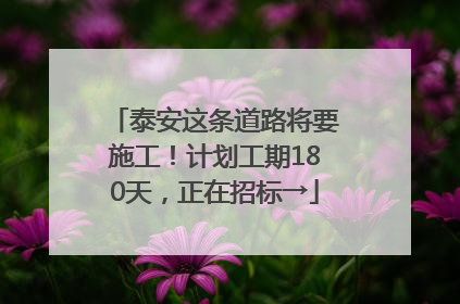 泰安这条道路将要施工！计划工期180天，正在招标→