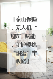泰山保险：无人机“飞防”赋能，守护樱桃“甜蜜”丰收路