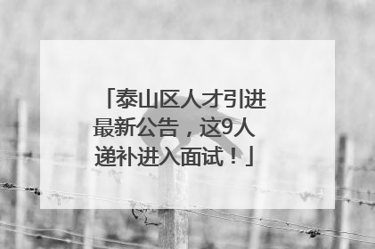 泰山区人才引进最新公告，这9人递补进入面试！