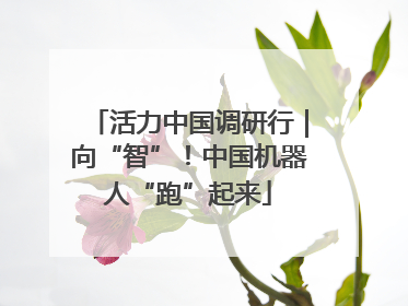 活力中国调研行｜向“智”！中国机器人“跑”起来