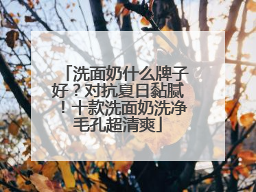 洗面奶什么牌子好？对抗夏日黏腻！十款洗面奶洗净毛孔超清爽