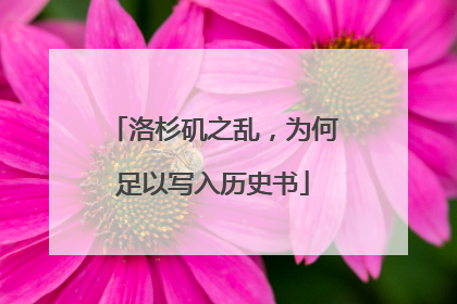 洛杉矶之乱，为何足以写入历史书