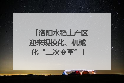 洛阳水稻主产区迎来规模化、机械化“二次变革”