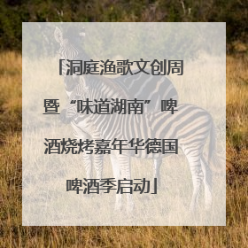 洞庭渔歌文创周暨“味道湖南”啤酒烧烤嘉年华德国啤酒季启动