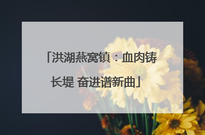 洪湖燕窝镇：血肉铸长堤 奋进谱新曲