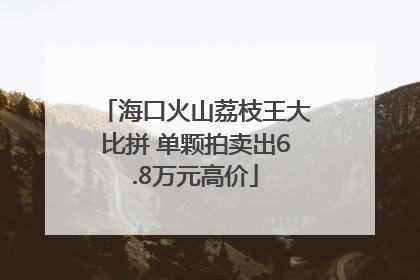 海口火山荔枝王大比拼 单颗拍卖出6.8万元高价