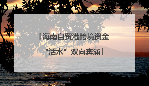 海南自贸港跨境资金“活水”双向奔涌