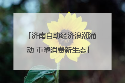 济南自助经济浪潮涌动 重塑消费新生态