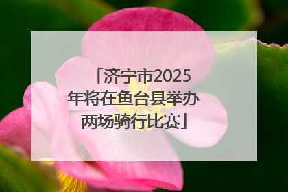 济宁市2025年将在鱼台县举办两场骑行比赛