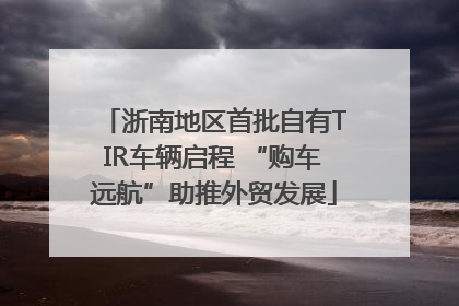 浙南地区首批自有TIR车辆启程 “购车远航”助推外贸发展