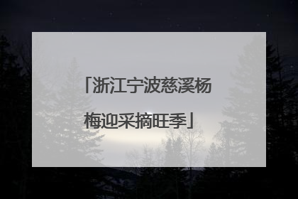 浙江宁波慈溪杨梅迎采摘旺季