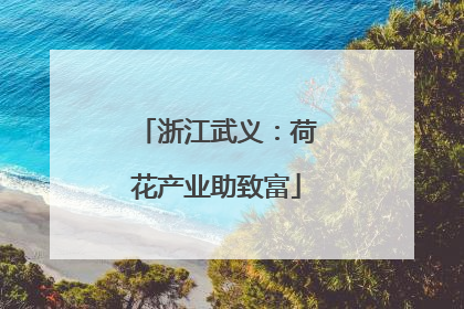 浙江武义：荷花产业助致富