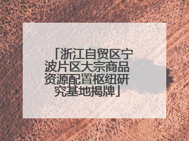 浙江自贸区宁波片区大宗商品资源配置枢纽研究基地揭牌