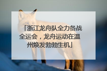 浙江龙舟队全力备战全运会，龙舟运动在温州焕发勃勃生机