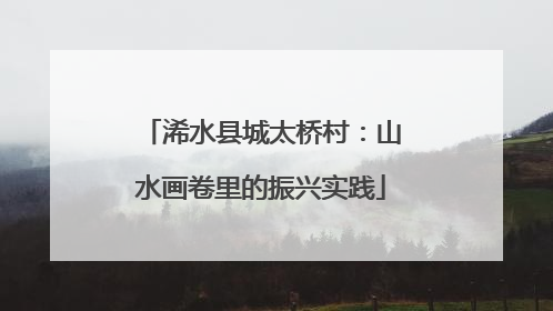 浠水县城太桥村：山水画卷里的振兴实践