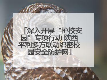 深入开展“护校安园”专项行动 陕西平利多方联动织密校园安全防护网