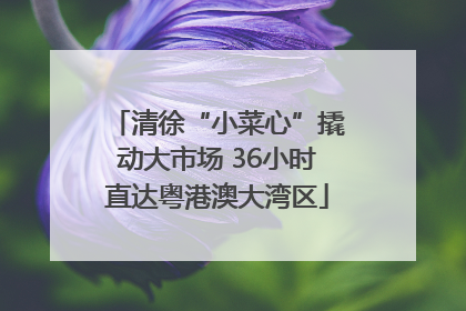 清徐“小菜心”撬动大市场 36小时直达粤港澳大湾区