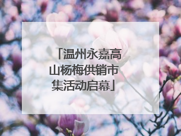 温州永嘉高山杨梅供销市集活动启幕