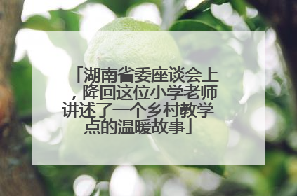 湖南省委座谈会上，隆回这位小学老师讲述了一个乡村教学点的温暖故事