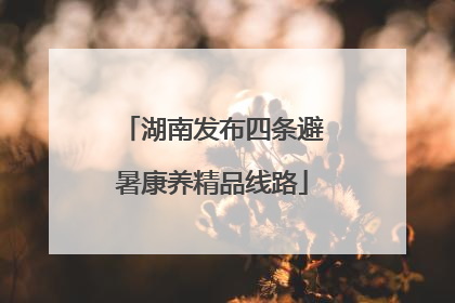 湖南发布四条避暑康养精品线路