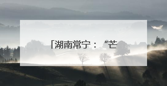 湖南常宁：“芒种”到 农事忙