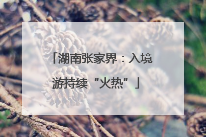湖南张家界：入境游持续“火热”