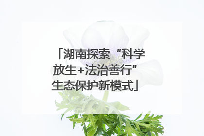 湖南探索“科学放生+法治善行”生态保护新模式