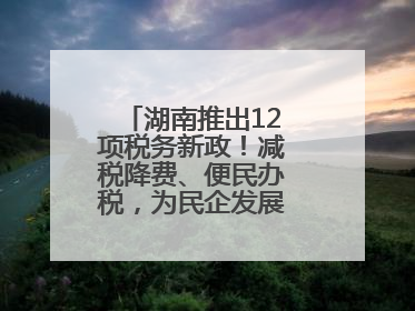 湖南推出12项税务新政！减税降费、便民办税，为民企发展“减负加油”