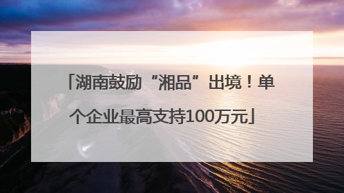 湖南鼓励“湘品”出境！单个企业最高支持100万元
