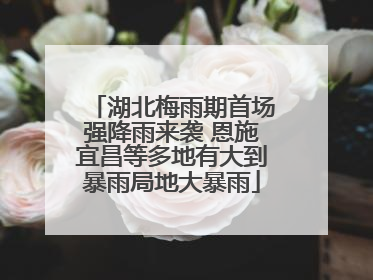 湖北梅雨期首场强降雨来袭 恩施宜昌等多地有大到暴雨局地大暴雨