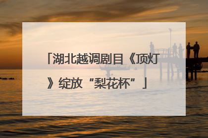 湖北越调剧目《顶灯》绽放“梨花杯”