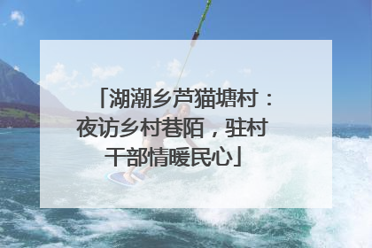 湖潮乡芦猫塘村：夜访乡村巷陌，驻村干部情暖民心