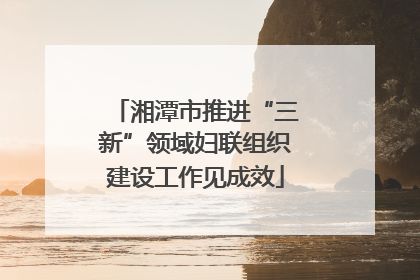 湘潭市推进“三新”领域妇联组织建设工作见成效