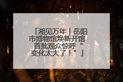 湘见万年丨岳阳市博物馆焕新开馆 首批观众惊呼“变化太大了！”