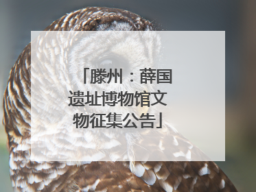滕州：薛国遗址博物馆文物征集公告