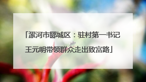 漯河市郾城区：驻村第一书记王元明带领群众走出致富路