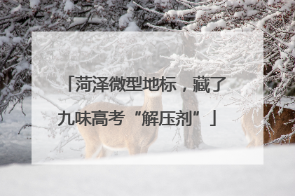 菏泽微型地标，藏了九味高考“解压剂”