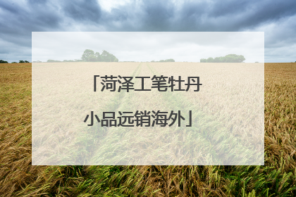 菏泽工笔牡丹小品远销海外
