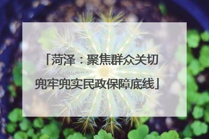 菏泽：聚焦群众关切 兜牢兜实民政保障底线