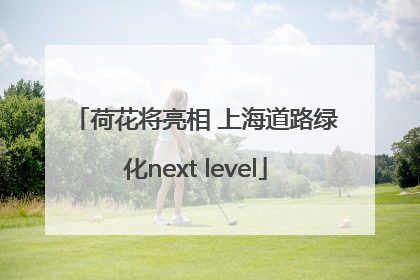 荷花将亮相 上海道路绿化next level