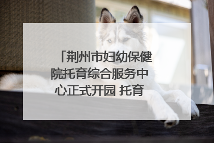 荆州市妇幼保健院托育综合服务中心正式开园 托育宣传月同步启动