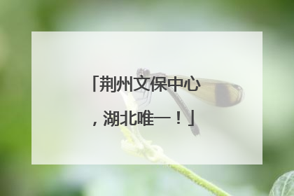 荆州文保中心，湖北唯一！