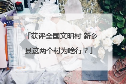 获评全国文明村 新乡县这两个村为啥行？