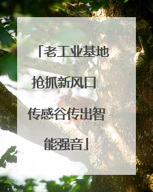 老工业基地抢抓新风口 传感谷传出智能强音