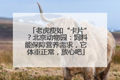 老虎瘦如“卡片”？北京动物园：饲料能保障营养需求，它体重正常，放心吧