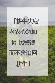 耕牛失窃老农心急如焚 民警锲而不舍追回耕牛